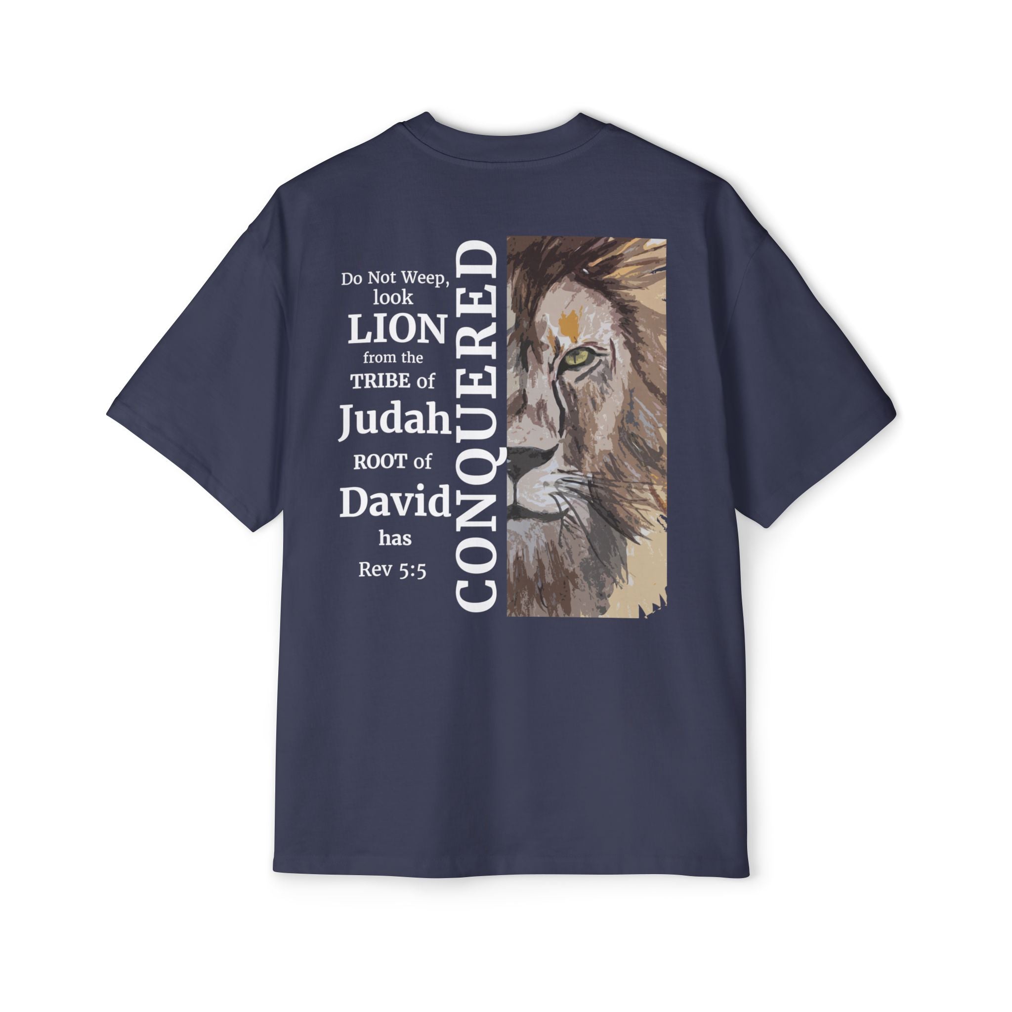 Oversized Lion of Judah Pump Cover